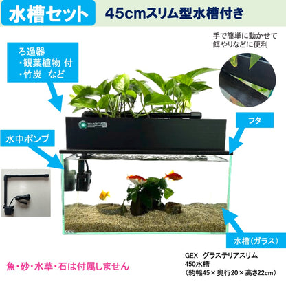45cmスリム型せせらぎビオトープ水槽セット（黒）約17L 照明なし 【送料無料】