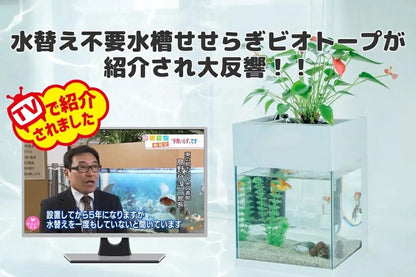 25cm型　せせらぎビオトープ　基本シンプルセット(グレー)　照明なし【送料無料】