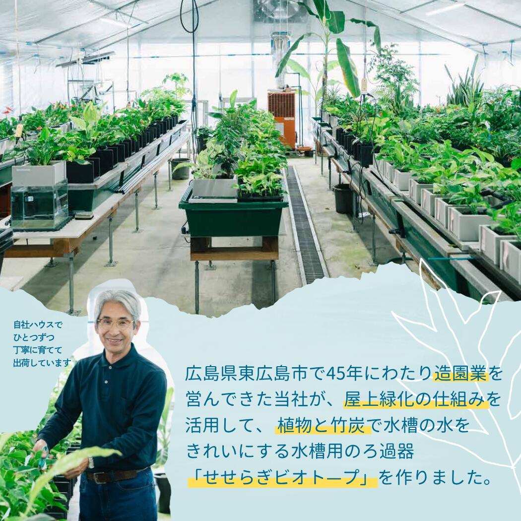 25cm型　せせらぎビオトープ　基本＋木枠・台セット　照明なし【送料無料】