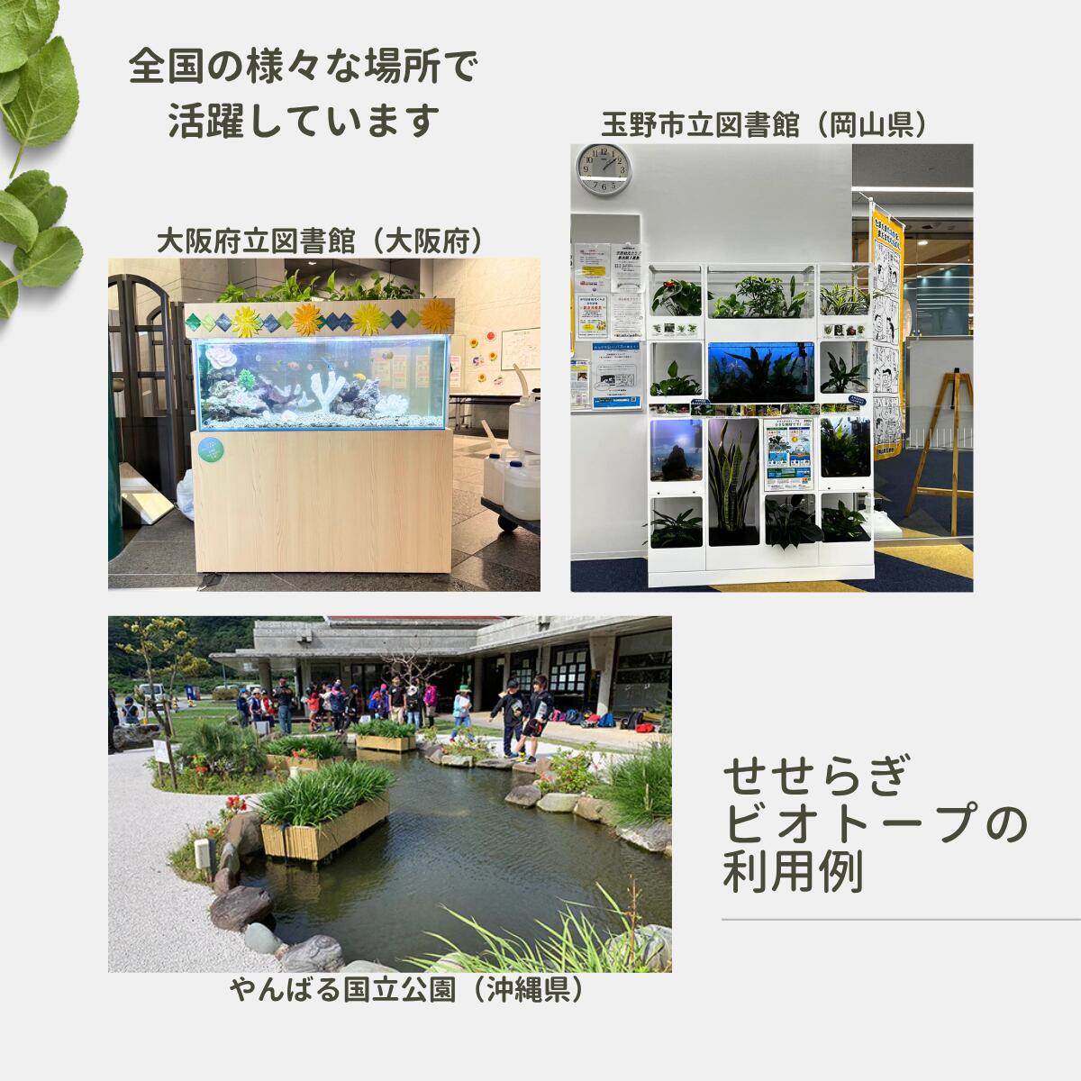 25cm型　せせらぎビオトープ　基本＋木枠・台セット　照明なし【送料無料】