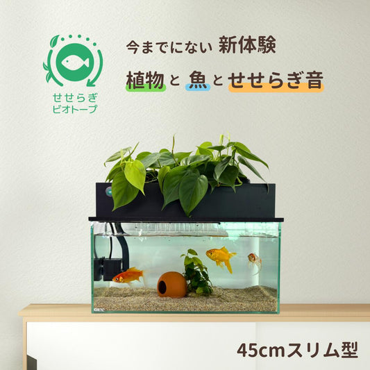 45cmスリム型せせらぎビオトープ水槽セット（黒）約17L 照明なし 【送料無料】