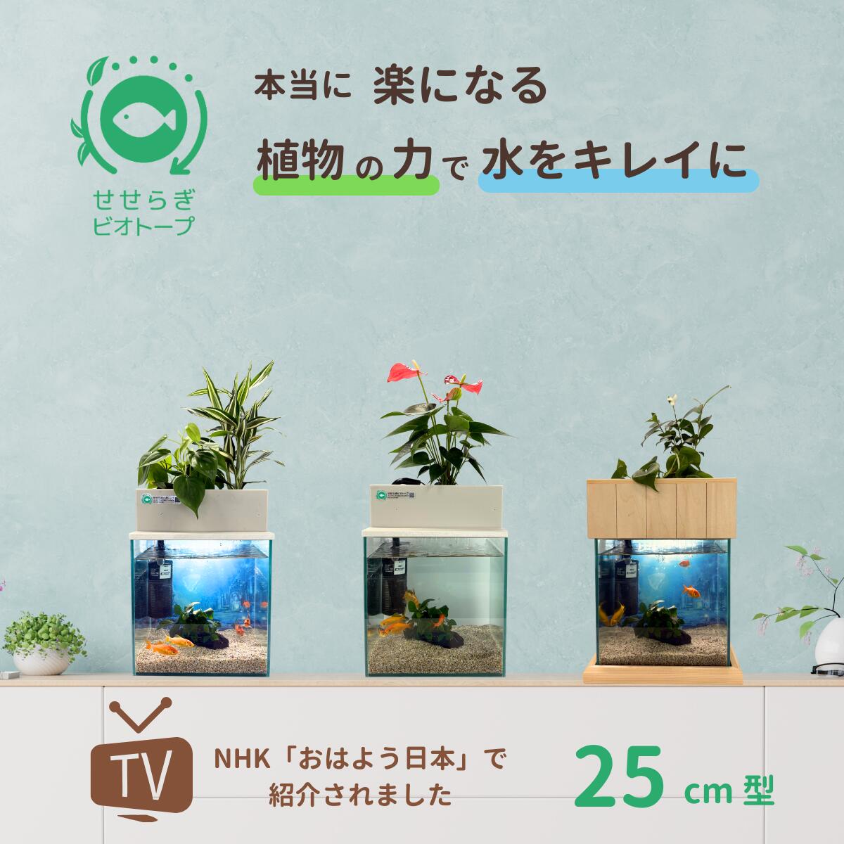 25cm型　せせらぎビオトープ　基本＋木枠・台セット　照明なし【送料無料】