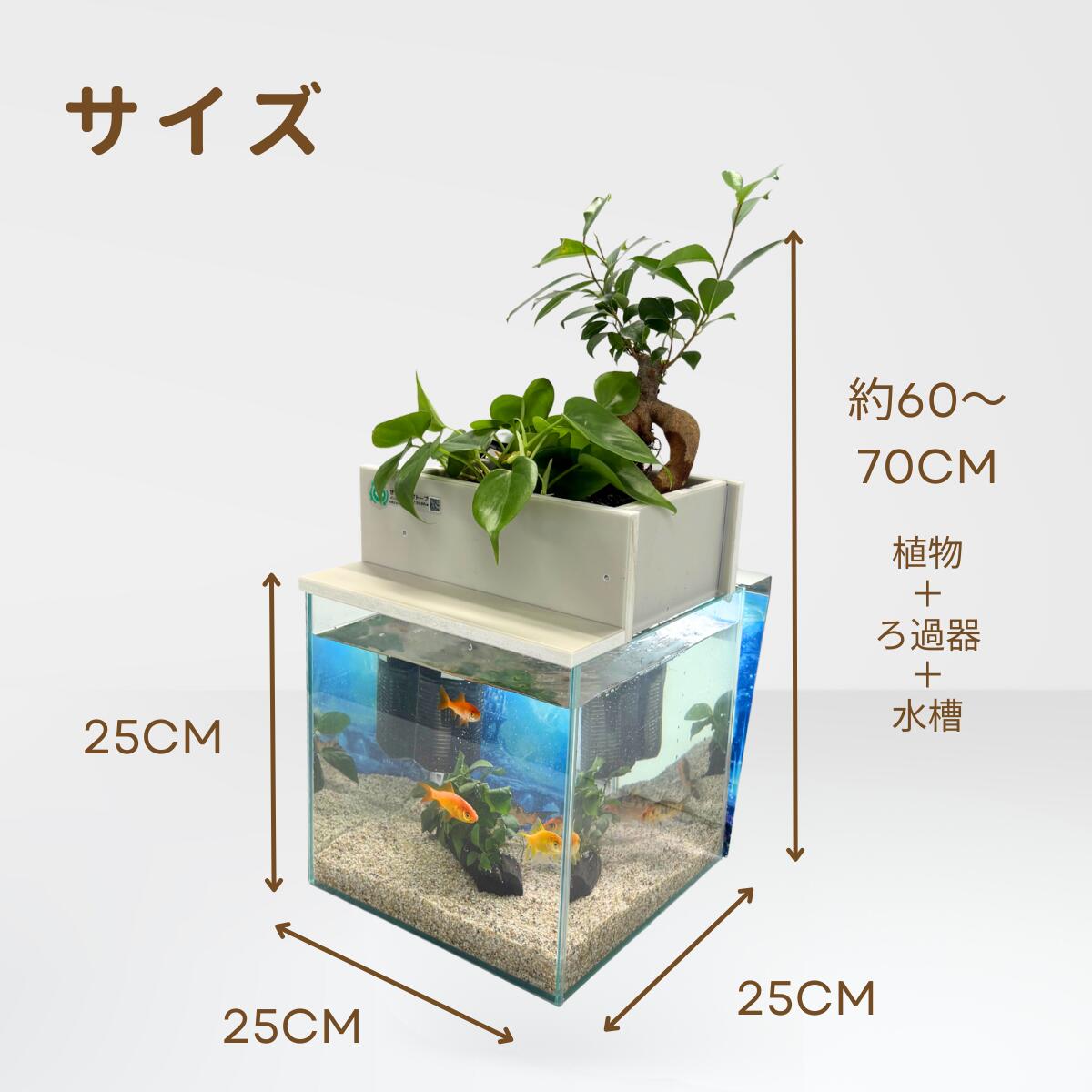25cm型　せせらぎビオトープ　基本＋木枠・台セット　照明なし【送料無料】