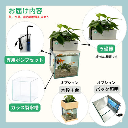 20cm型　せせらぎビオトープ　基本シンプルセット(黒)　照明あり【送料無料】