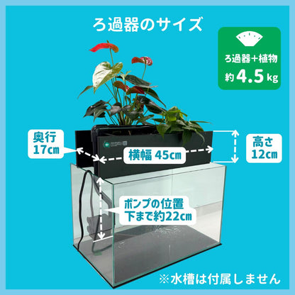 ろ過装置+循環ポンプ+配管セット 45cm型【送料無料】