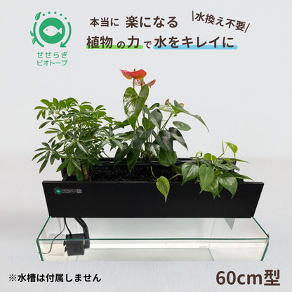 ろ過装置+循環ポンプ+配管セット 60cm型【送料無料】