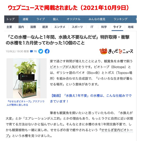 25cm型　せせらぎビオトープ　基本＋木枠・台セット　照明なし【送料無料】