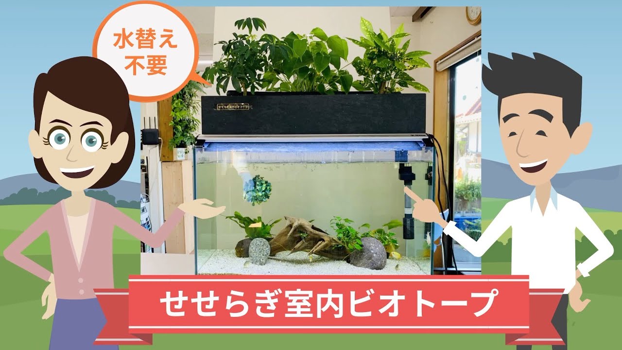 せせらぎビオトープ 公式ストア