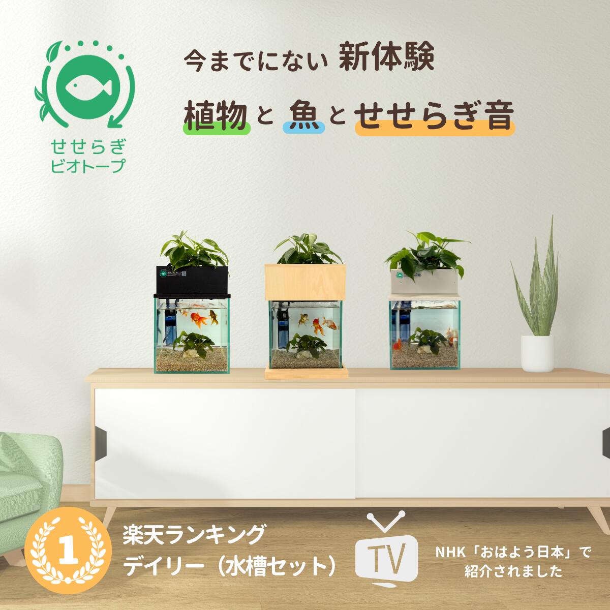 20cm型　せせらぎビオトープ　基本シンプルセット(黒)　照明あり【送料無料】