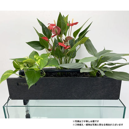 ろ過装置+循環ポンプ+配管セット 60cm型【送料無料】