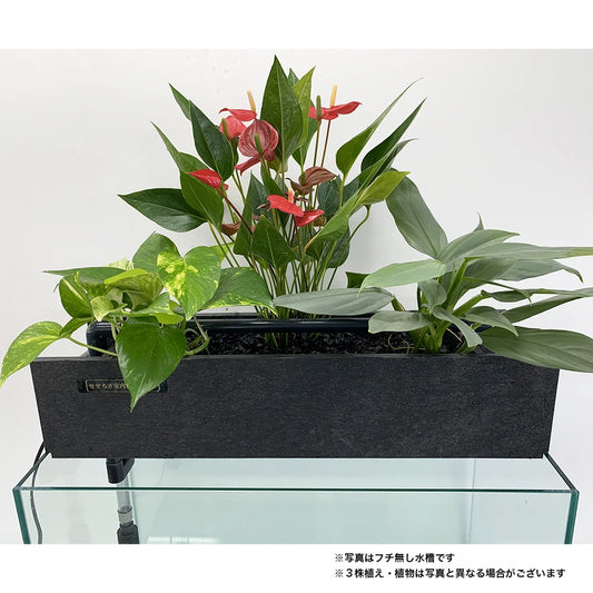 ろ過装置+循環ポンプ+配管セット 60cm型【送料無料】