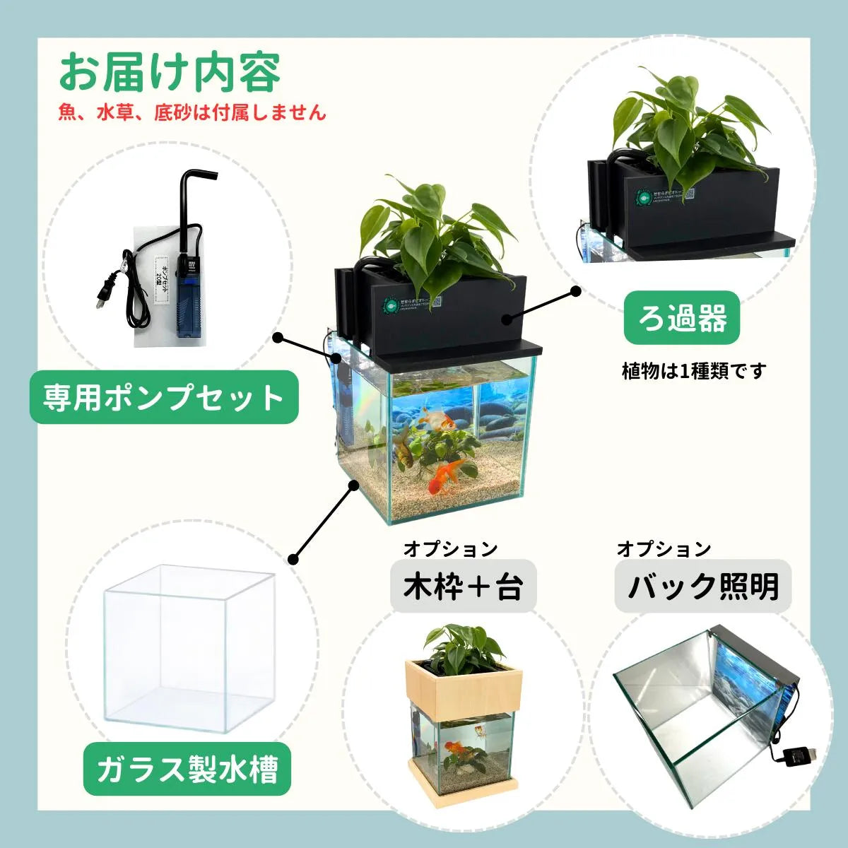 お届け内容：ガラス製水槽・ろ過器・専用ポンプセット（木枠＋台とバック照明はオプション）