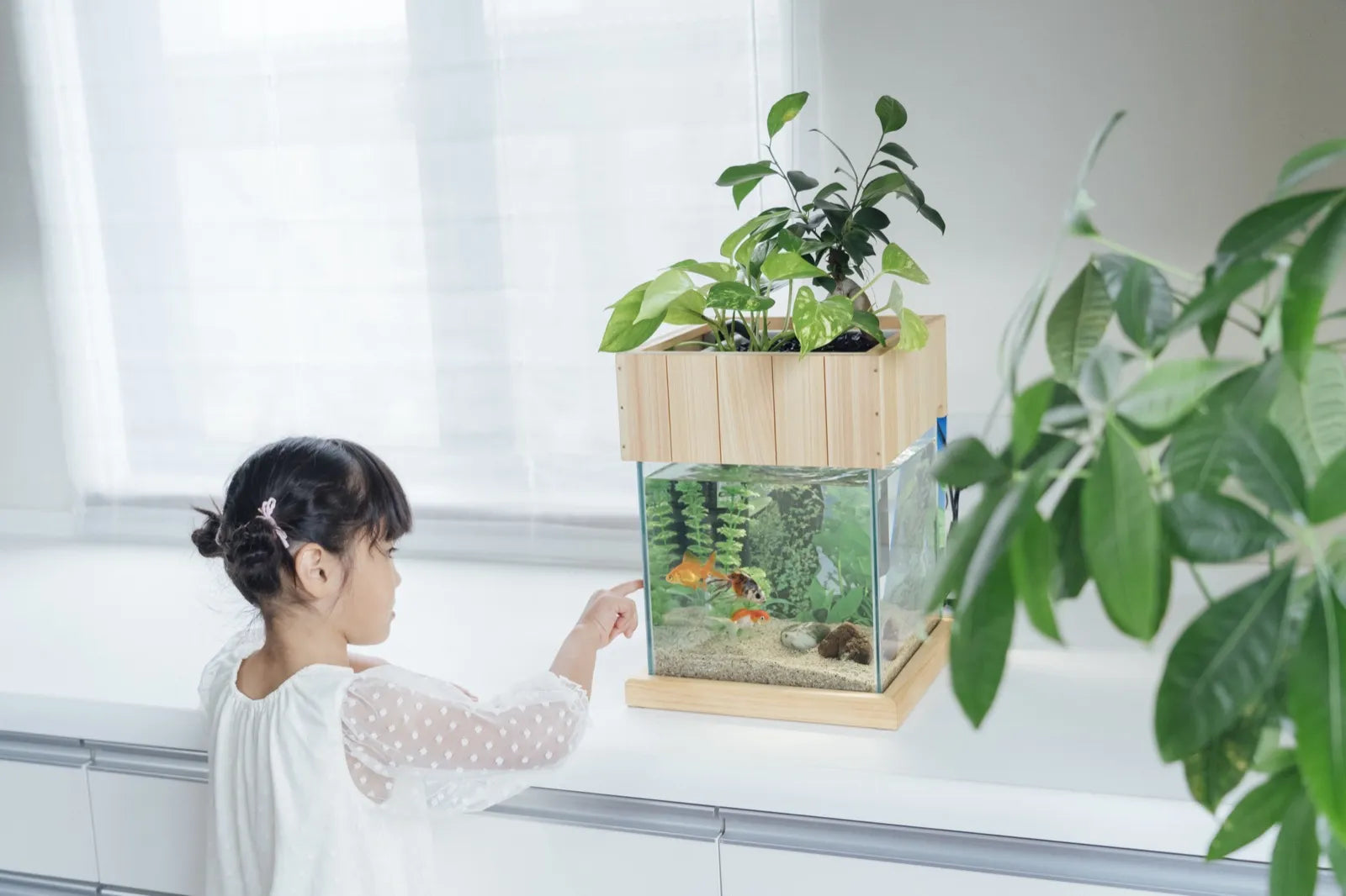部屋に置かれたせせらぎビオトープ