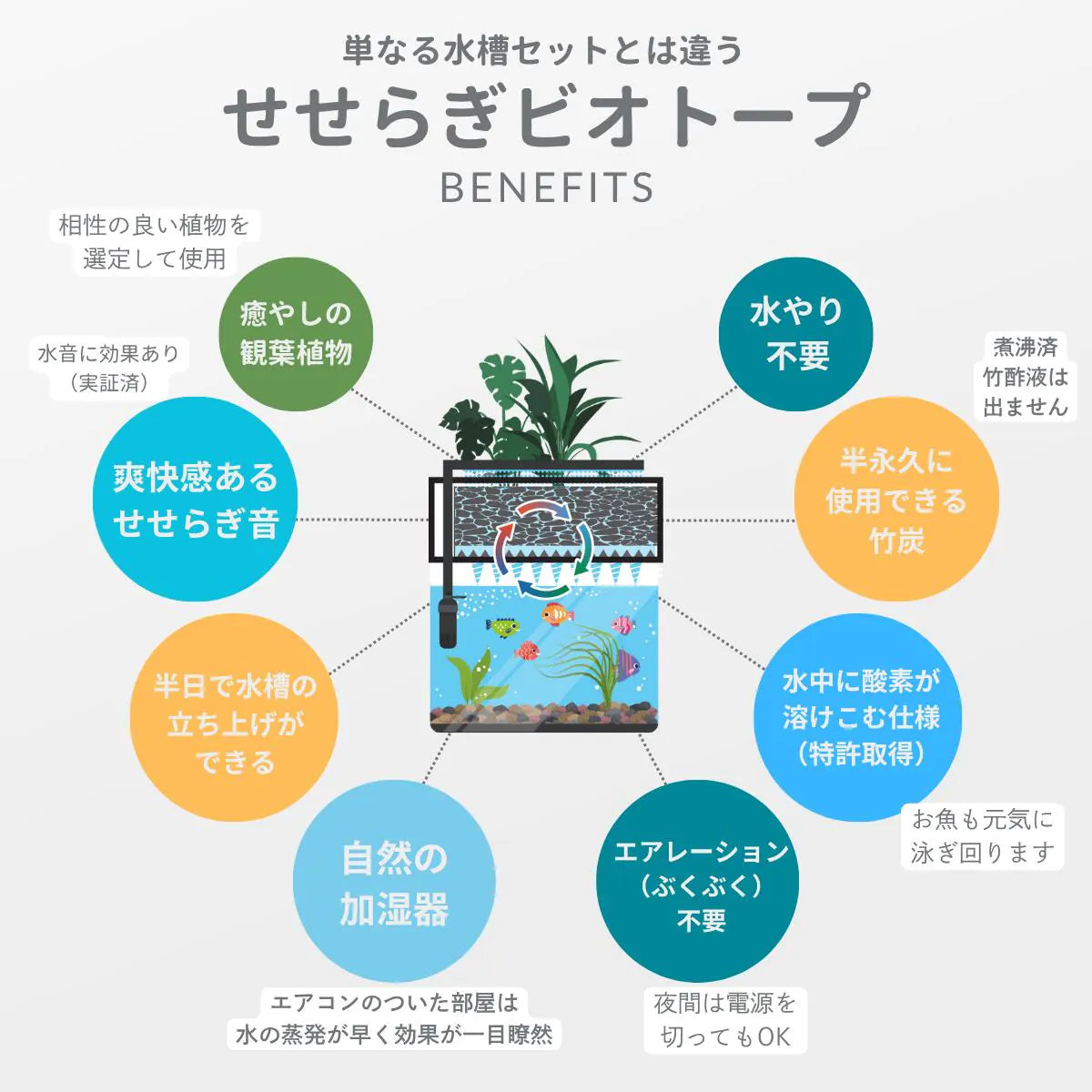 単なる水槽セットとは違う せせらぎビオトープ BENEFITS