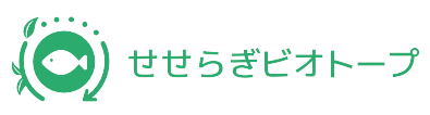 せせらぎビオトープ