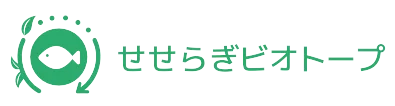 せせらぎビオトープ