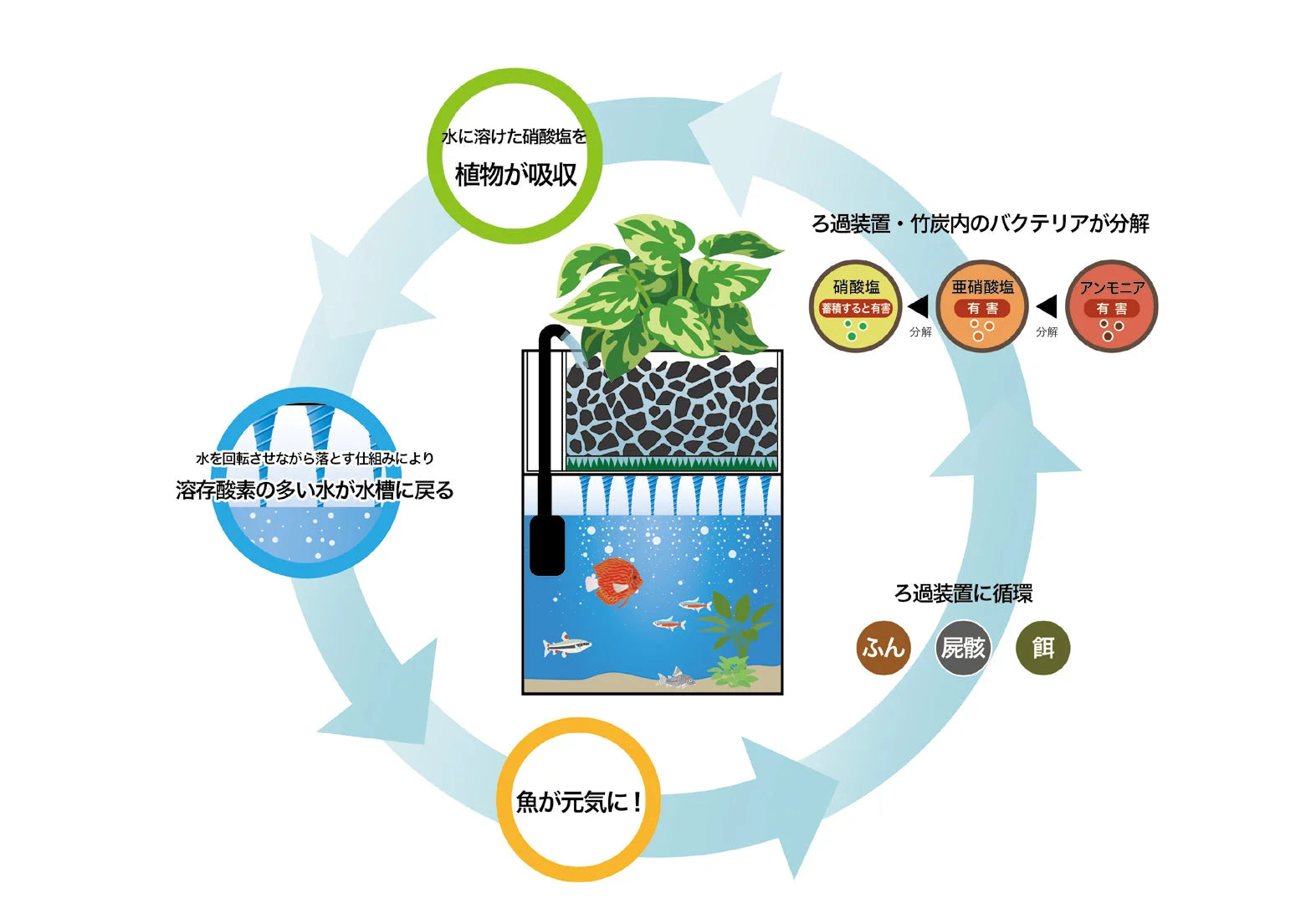 自然循環浄化システムの説明図